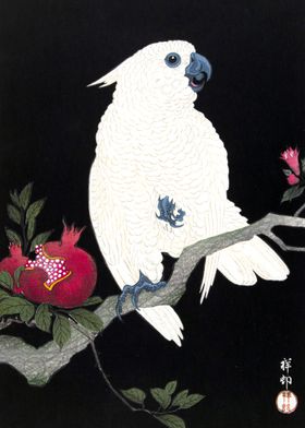 Cockatoo and Pomegranate