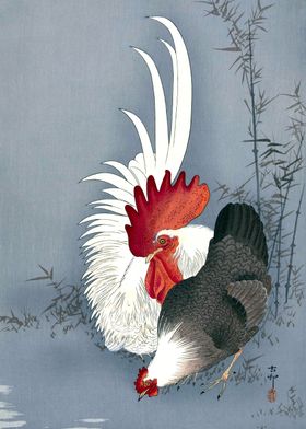 Rooster and Chicken