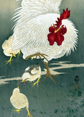 Rooster and Three Chicks