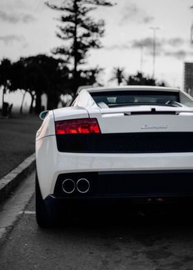 Cool White Lamborghini