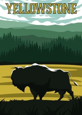 Yellowstone Bison