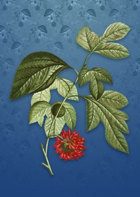 Paper Mulberry Flower