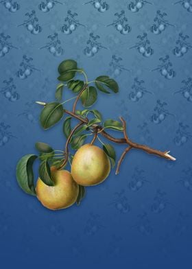 Pear on Bahama Blue