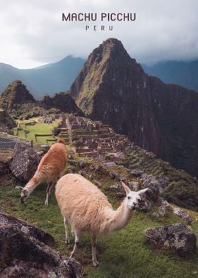 Machu Picchu  