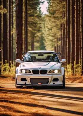 BMW E46 in forest