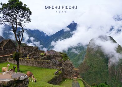 Machu Picchu 