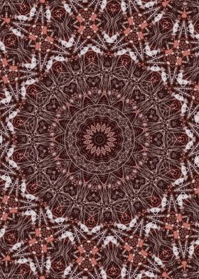 Brown kaleidoscope 1