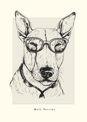 Bull Terrier Illustration