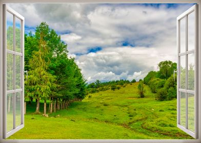 Window view green field