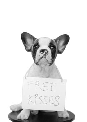 Dog Free Kisses