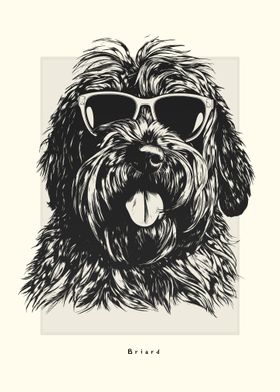 Briard Illustration