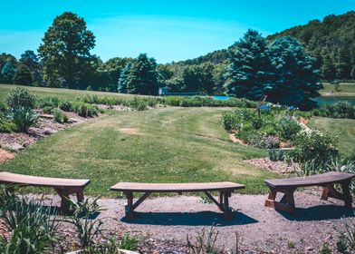 Benches in a park garden