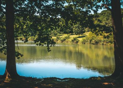 Lake framed by the trees