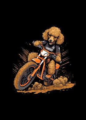 Dirt Bike Poodle Biker