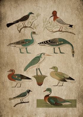 Egypt Bird Drawing 3