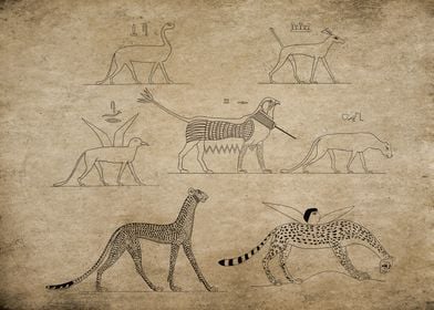 Egypt Animal Drawing 2