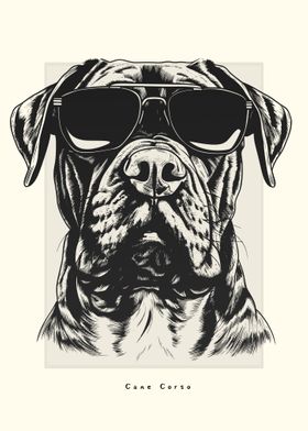 Cane Corso Illlustration