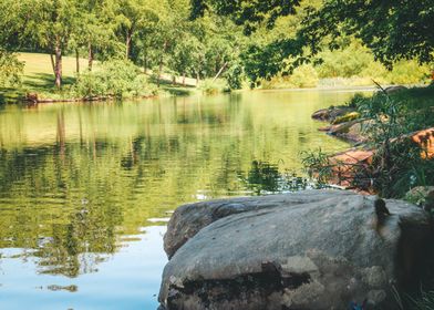 Rock sitting on the lake e