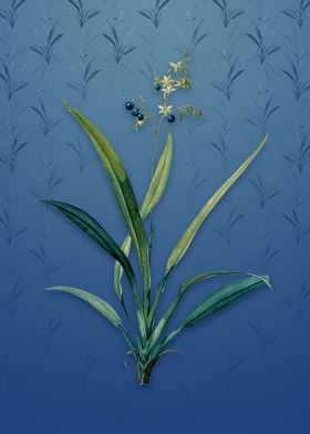 Vintage Flax Lilies