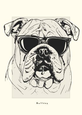 Bulldog Illustration