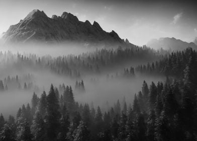 Fog Mountain