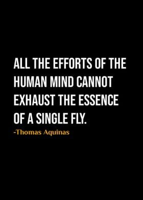 Thomas Aquinas Quote 