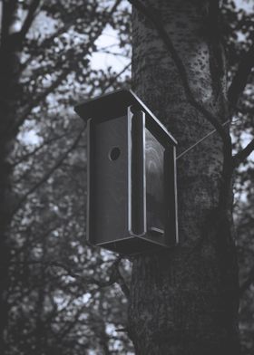 Bird House