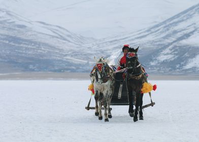 horsedrawn portrait