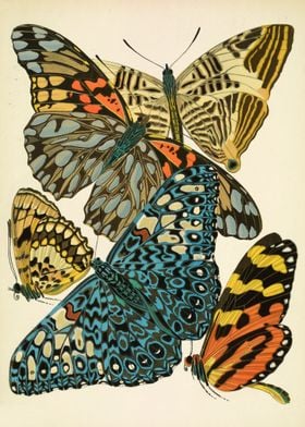 Vintage butterflies