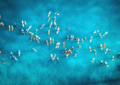 Surfing Islands