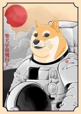Doge astronaut meme