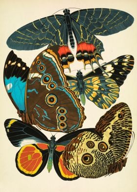 Vintage butterflies