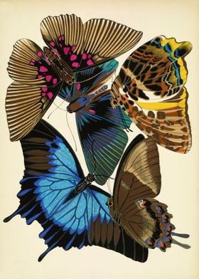 Vintage butterflies