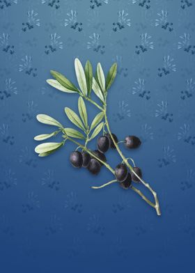 Olive Tree on Bahama Blue