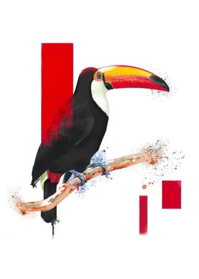 Toucan Artistic Paint