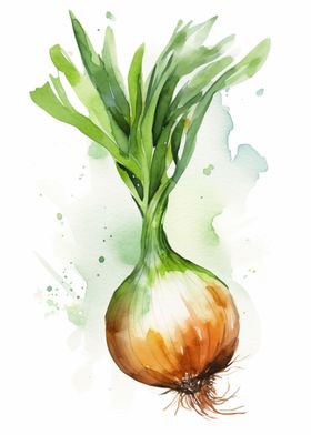 Onion