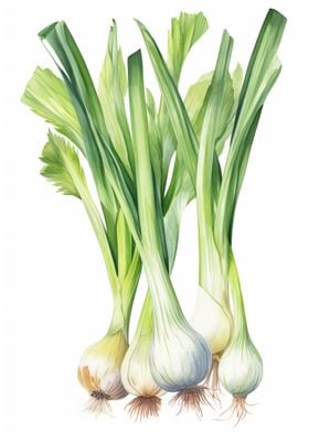 Leeks