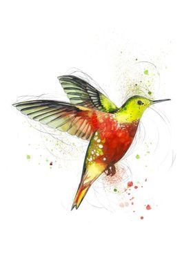 Watercolor bird