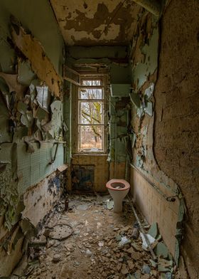 Rotten Toilet