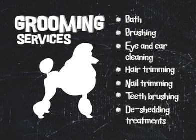 Dog Grooming Salon 2