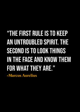 Marcus Aurelius Quote 