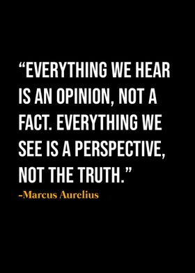 Marcus Aurelius Quote 