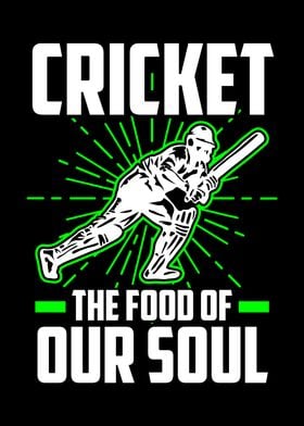 Cricket is for our soul