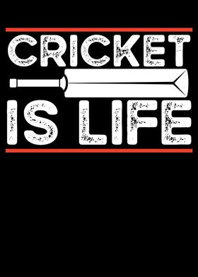 Cricket bat is life