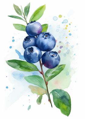 Blueberry Fruit