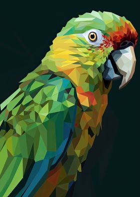 Vector Parrot