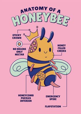 Bee Anatomy