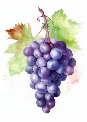 Grapes Watercolor Fruit