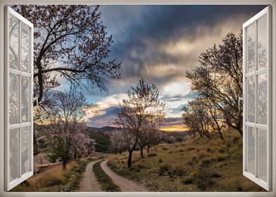 Window view road landscape