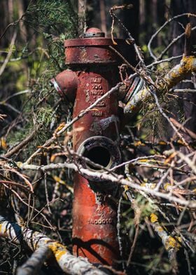 Water hydrant